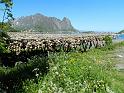 Dag9Zuid-lofoten14juni2019084