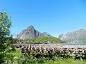 Dag9Zuid-lofoten14juni2019093